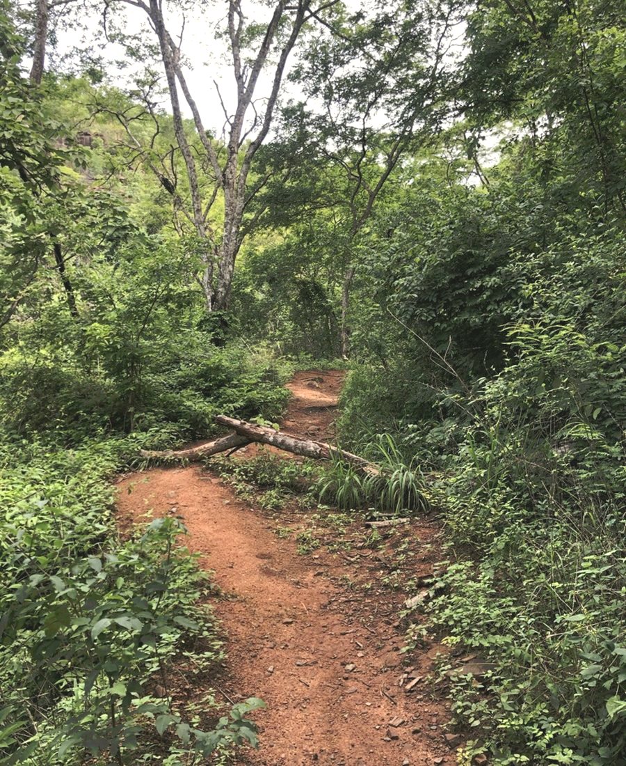 Trilha de acesso à parte de baixo da cachoeira